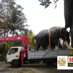 kelik-studio-semar-mesem-patung-gajah-magelang-patung-punokawan