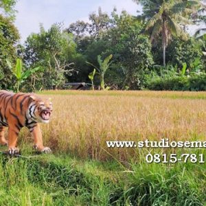 Bikin Patung Macan Produksi Patung Cetak Patung Macan