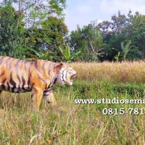 Patung Macan Ciawi Patung Macan Cisolong Patung Macan Cisompet