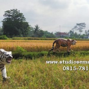 Patung Macan Garut Patung Harimau Patung Harimau Garut