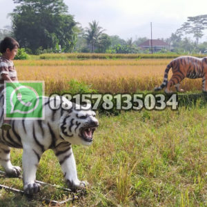 Patung Macan Loreng Putih Patung Fiberglass Malang