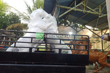 Img 20230205 Wa0081 (1)